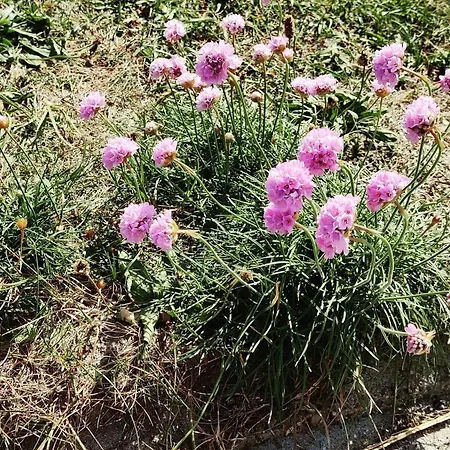 Tranquil Retreat In Thorsminde-by Traum